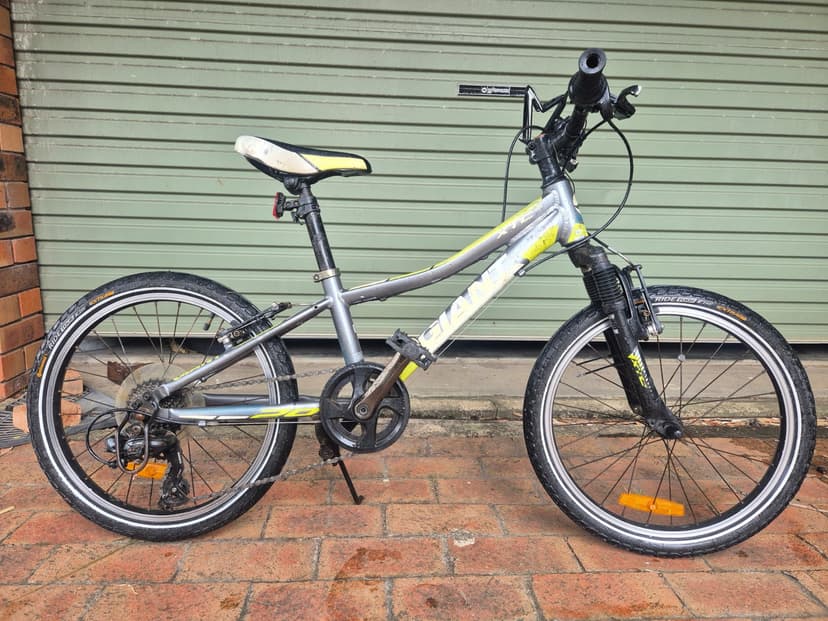 Giant XtC Kids Mountain Bike (20 inch)
