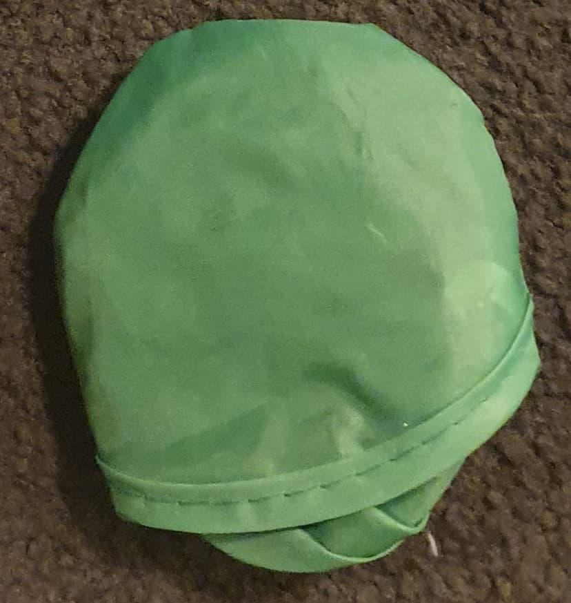 Green foldable Frisbee in case