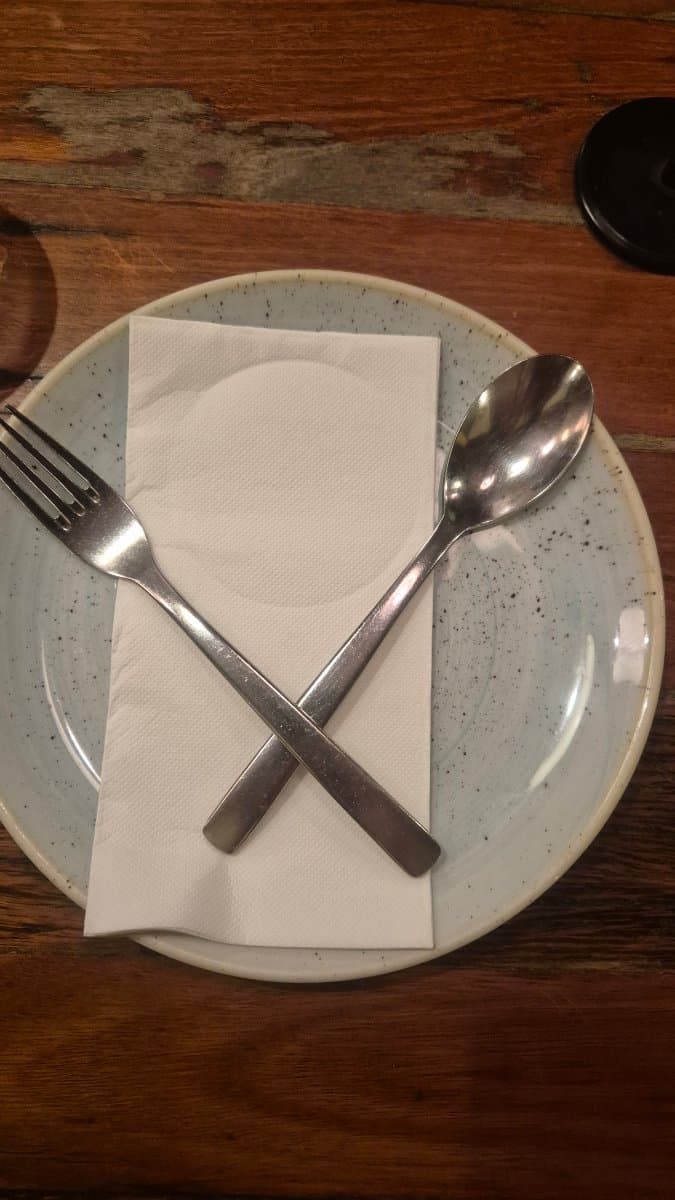 Speckled Ceramic Dinner Plate